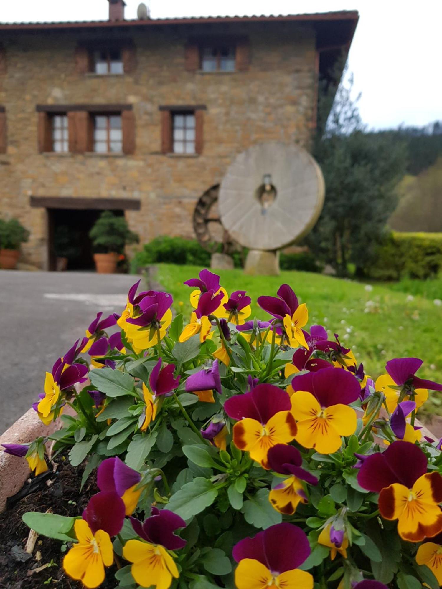 Agroturismo Iberreko Errota ムクシカ エクステリア 写真