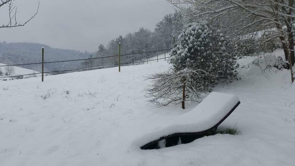 Agroturismo Iberreko Errota ムクシカ エクステリア 写真